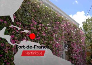 Financement du greffe du Tribunal de commerce de Fort-de-France