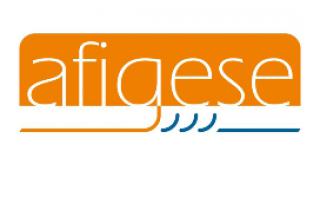 Logo AFIGESE