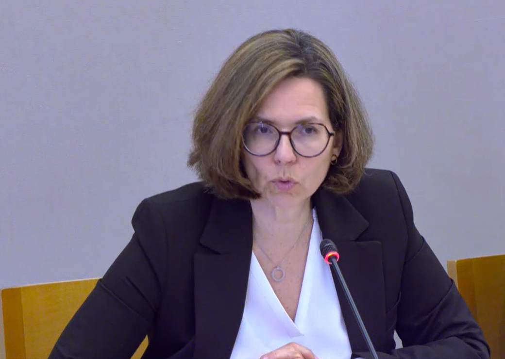 Audition de Camille Galliard-Minier devant la commission des affaires sociales