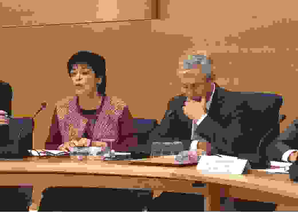 Bernard Bonne et Michelle Meunier présentant le 3 avril leur rapport fait au nom de la MECSS sur le financement de la dépendance