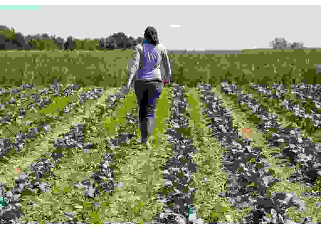 projets alimentaires territoriaux