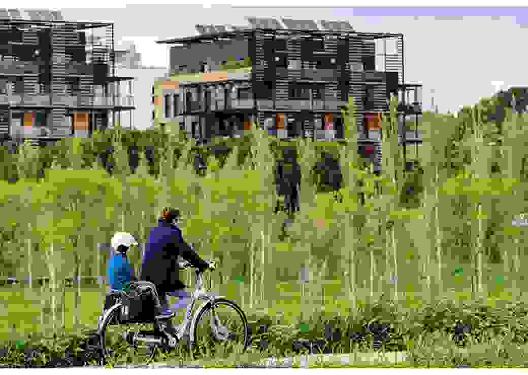 Santé environnementale 