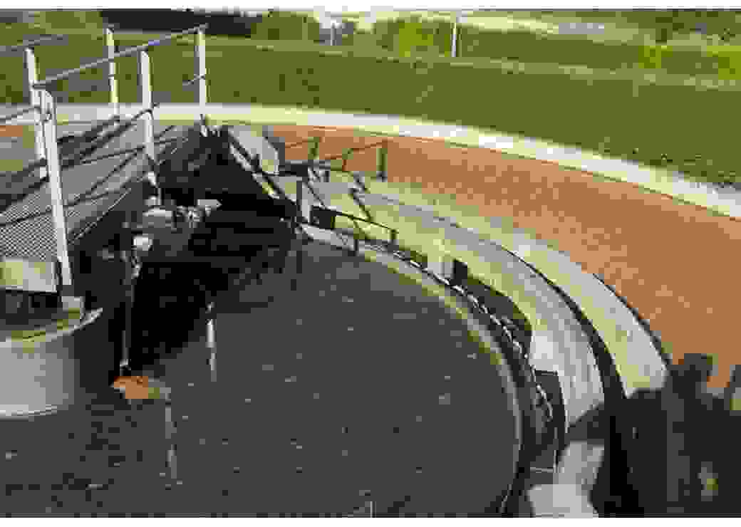 boues de station d'épuration 