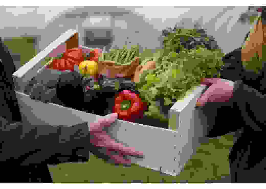 Panier de légumes biologiques & locaux