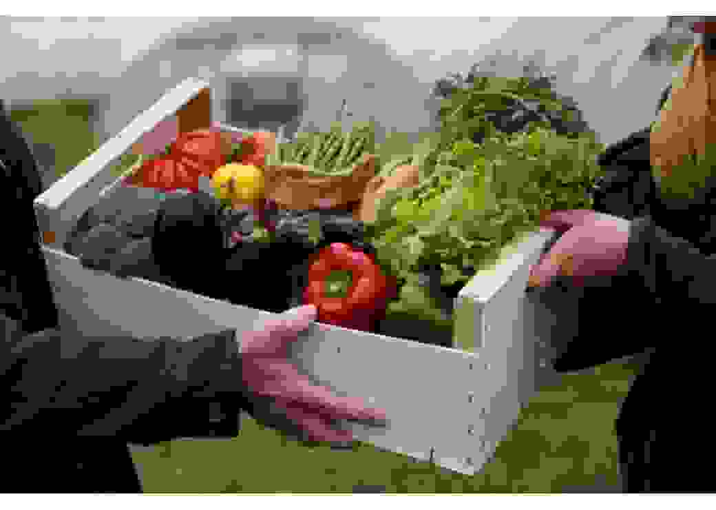 Transition alimentaire