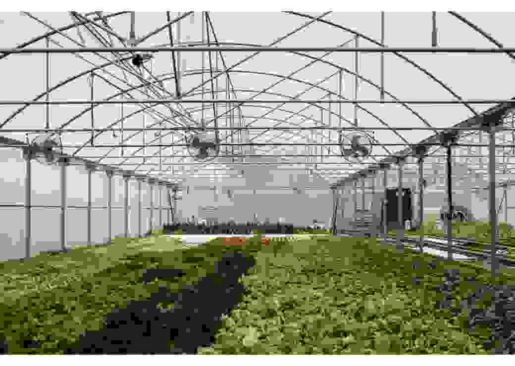 Photo de la ferme "Pauline Air Farm"