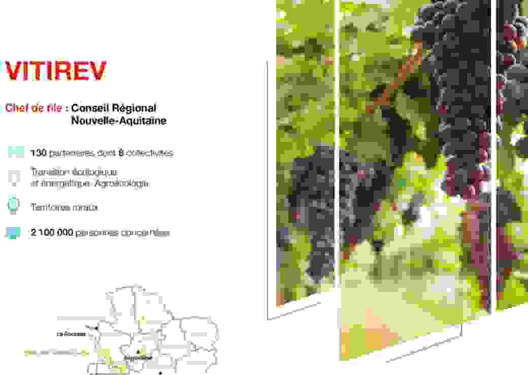 fiche-projet-viti-rev