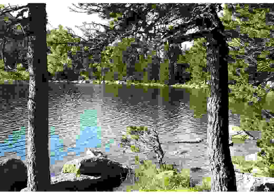 Biodiversité