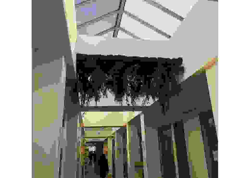 Oasis 21