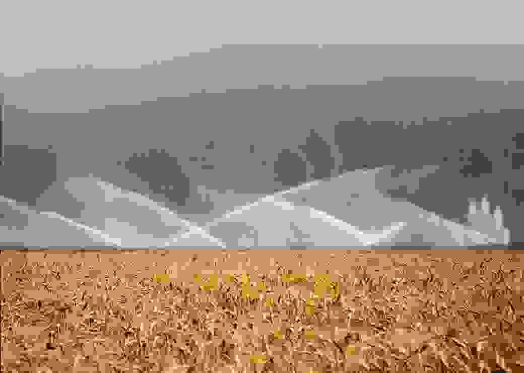 irrigation