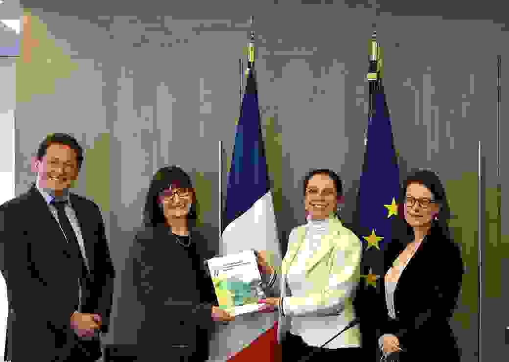 rapport ocde