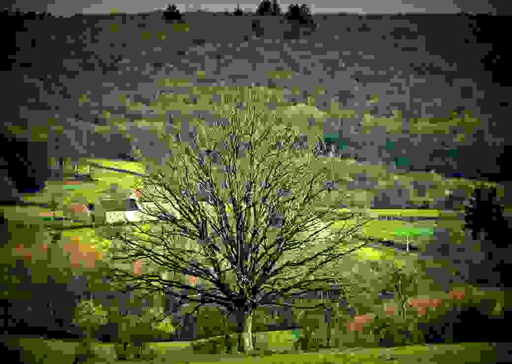 Campagne dans le morvan 