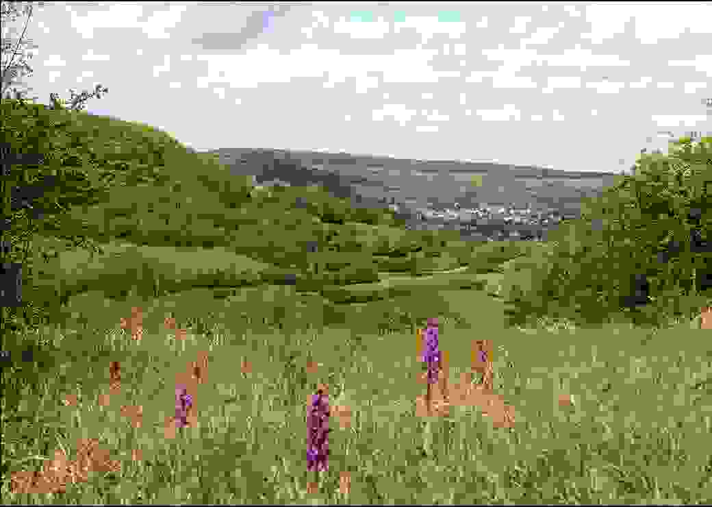 Natura 2000