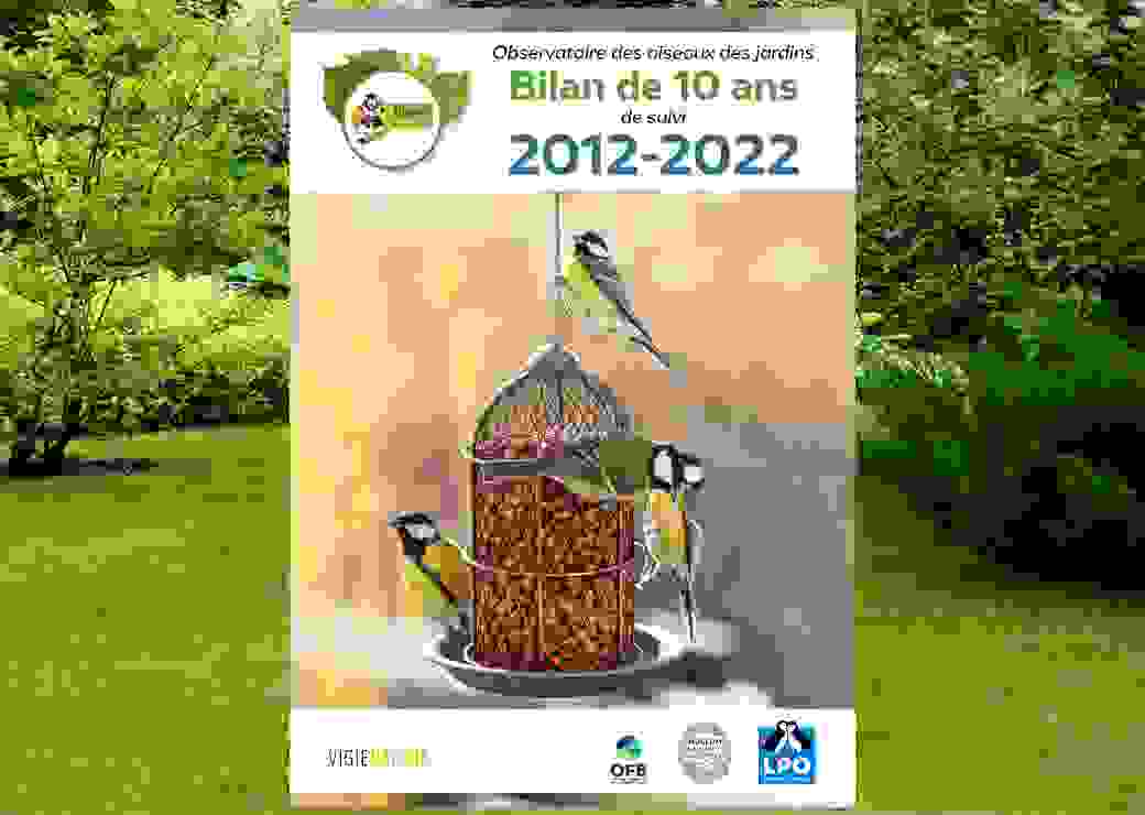 oiseaux 