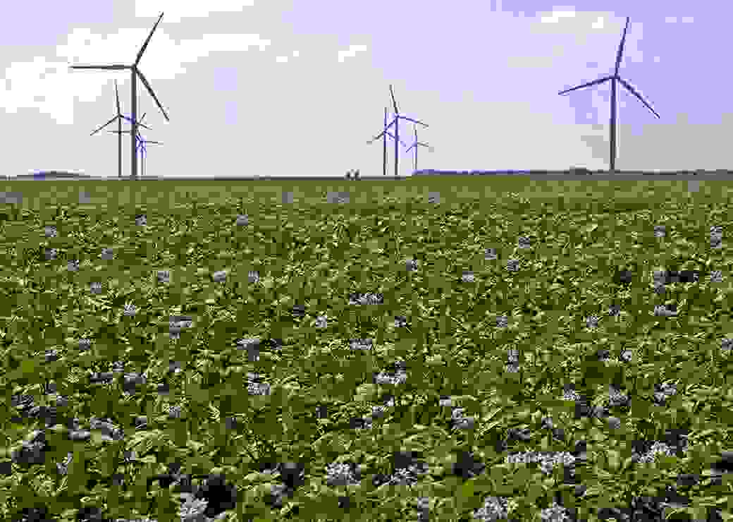 Eoliennes