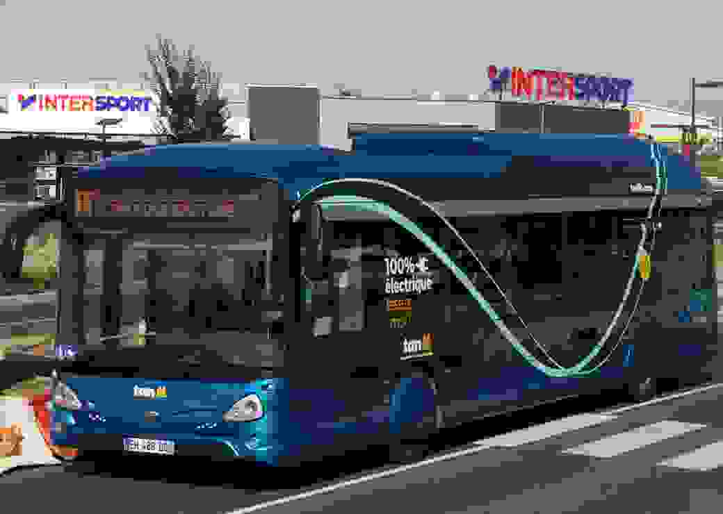 bus