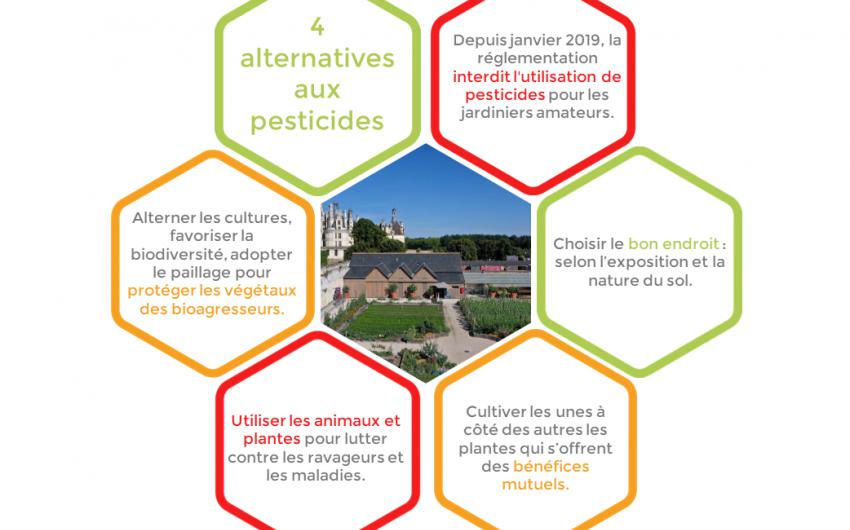 Solutions alternatives aux pesticides