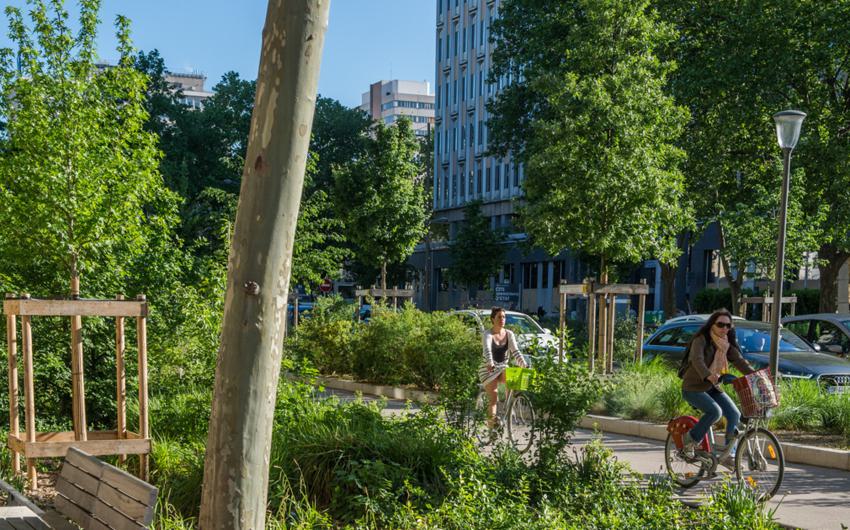 Réaménagement végétalisé d'un boulevard urbain à Lyon