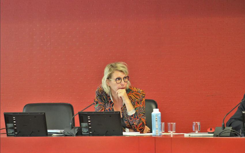 Isabelle Bonnaud-Jouin