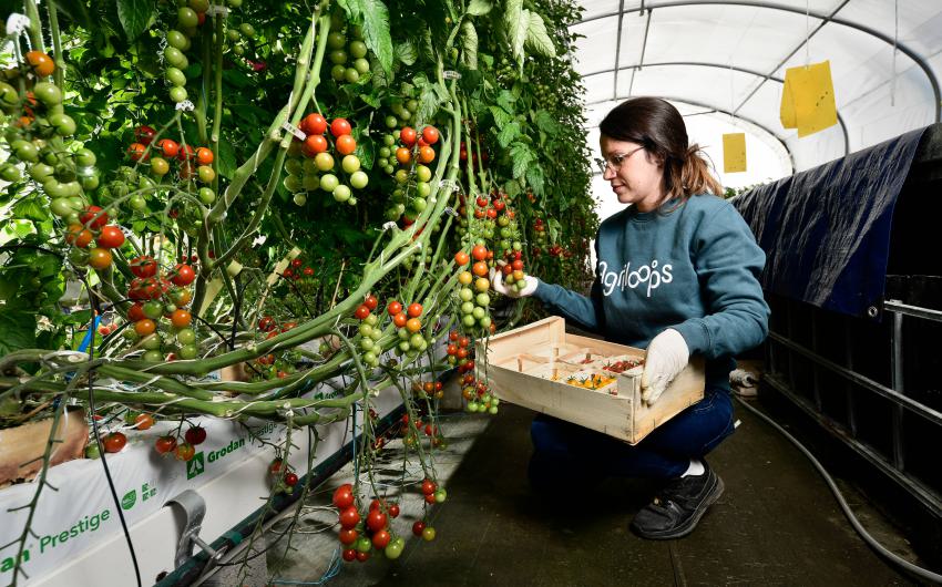 Accélérer la transition alimentaire