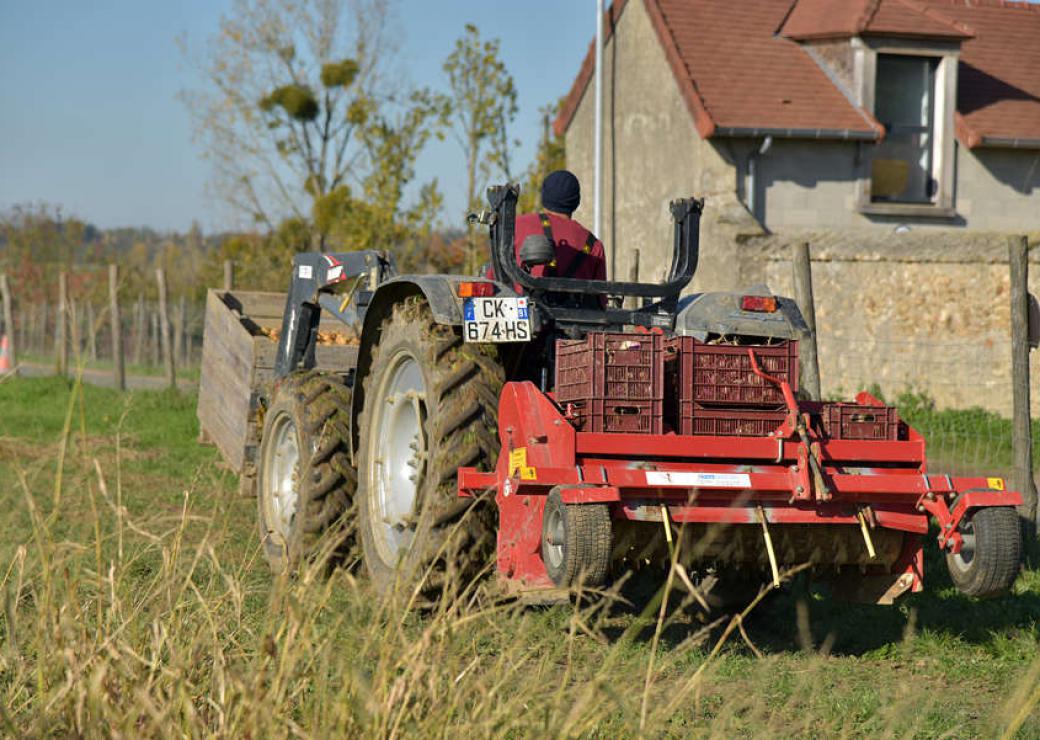 Réseau Cocagne