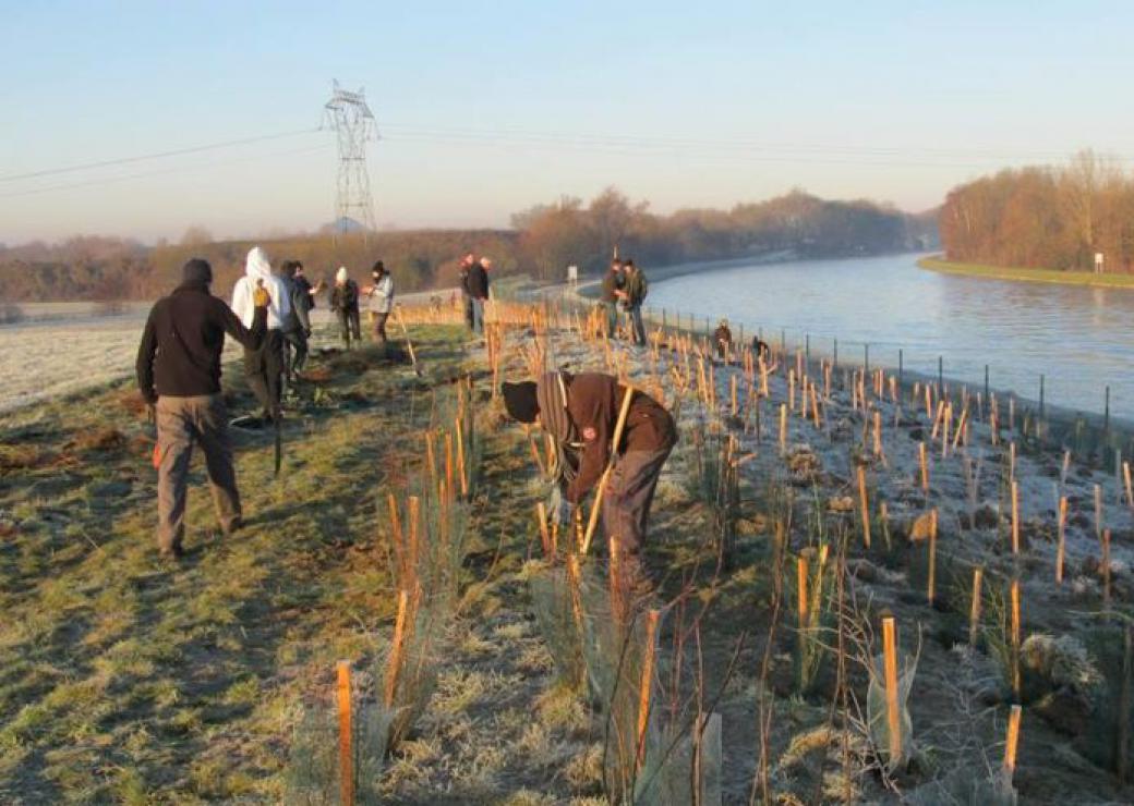 A Auby 12 000 arbres pour séquestrer les pollutions de MetalEurop