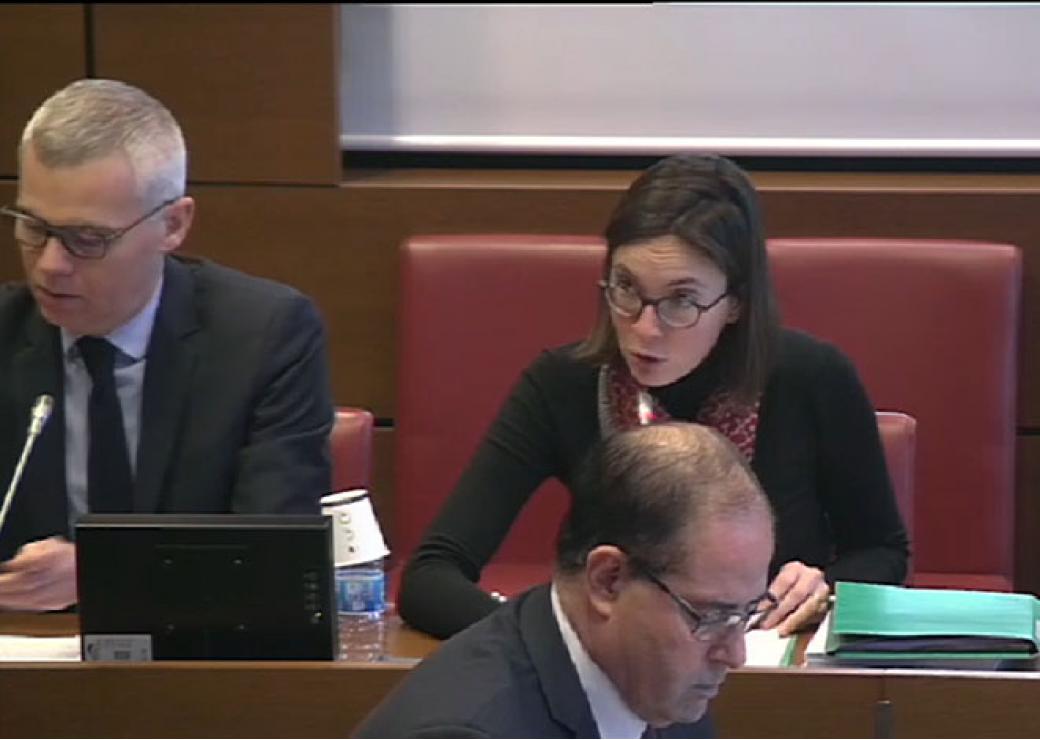Bénédicte Peyrol et Christophe Bouillon présentant leur rapport le 30 janvier devant la commission des finances de l’Assemblée