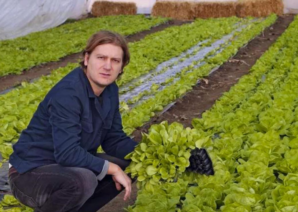 Jeune agriculteur bio de la couveuse sous une serre de salades