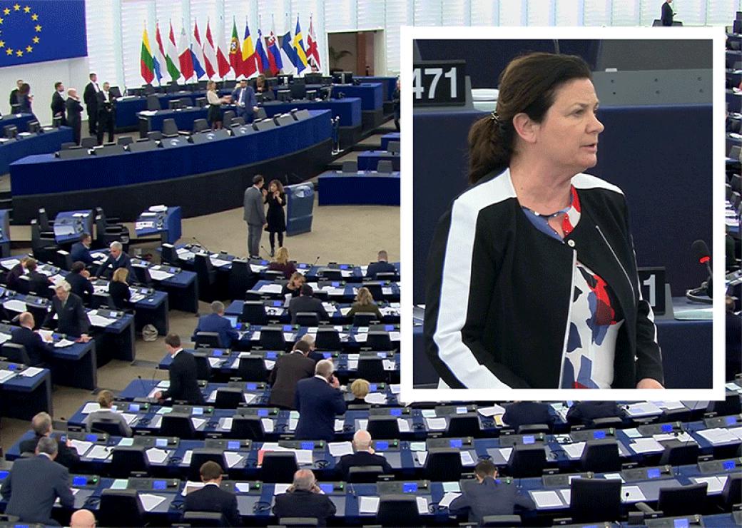 La plénière du parlement européen du 13 février ; en gros plan, Constanze Krehl