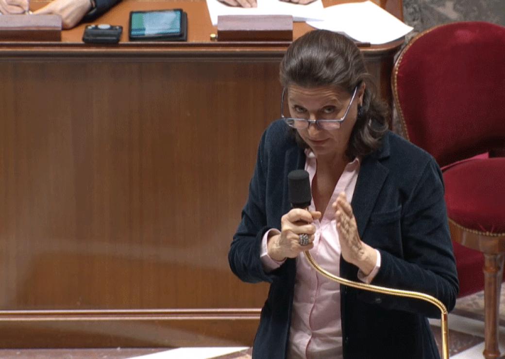Agnès Buzyn en séance le 20 mars