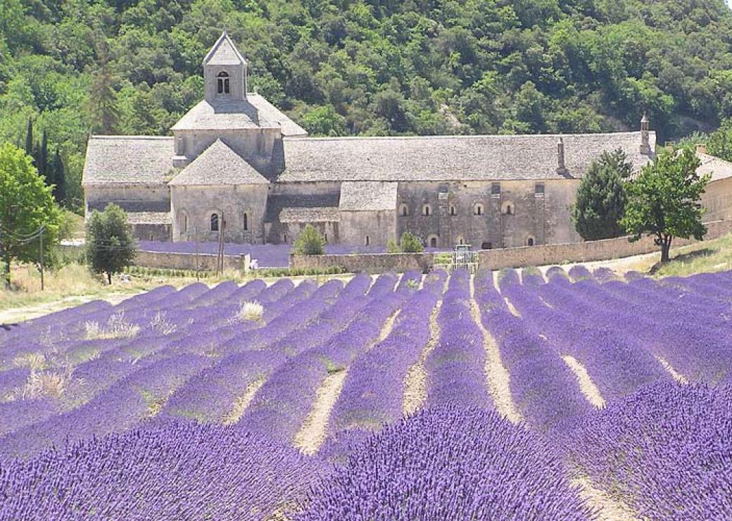 Abbaye de Senanque