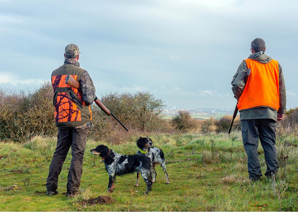 Chasse Office français de la biodiversité 