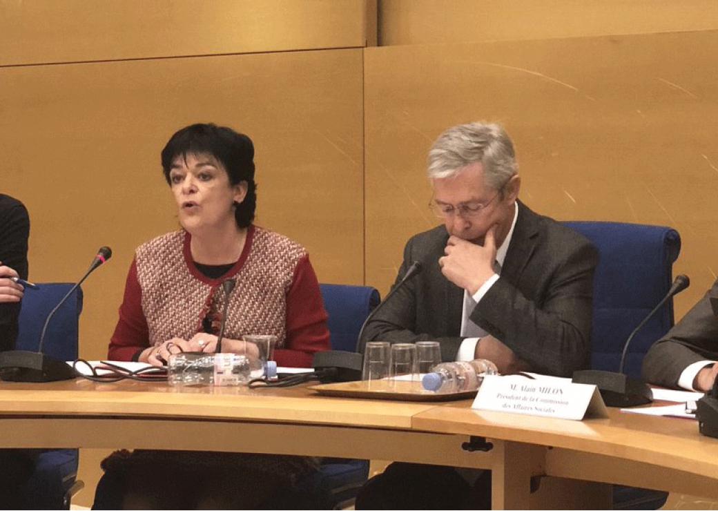 Bernard Bonne et Michelle Meunier présentant le 3 avril leur rapport fait au nom de la MECSS sur le financement de la dépendance
