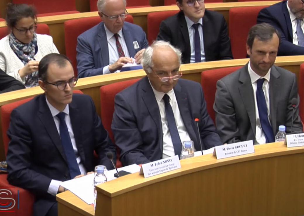 Table ronde comission affaire économique Sénat team France Export 
