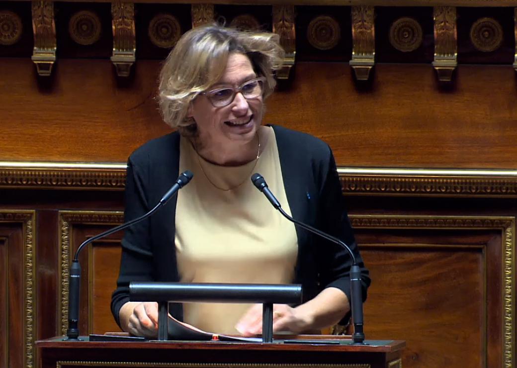 Missions locales Sénat Nathalie Delattre 