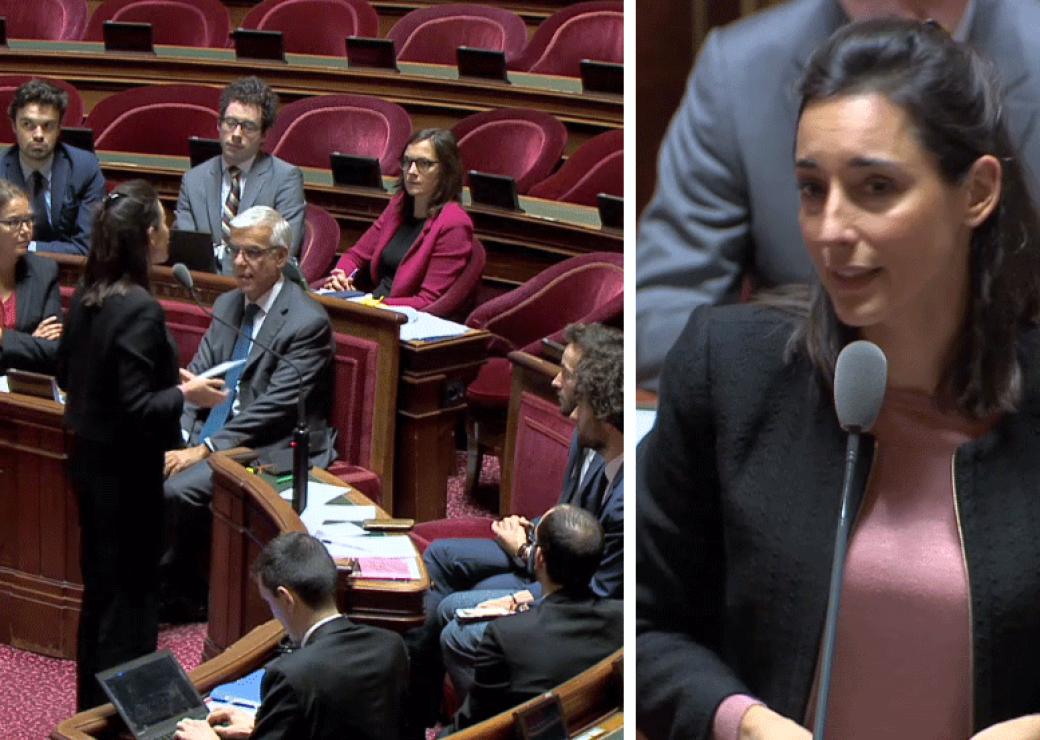 poirson_senat_ecocirdulaire