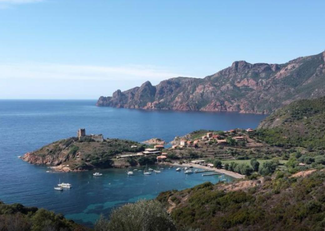Corse