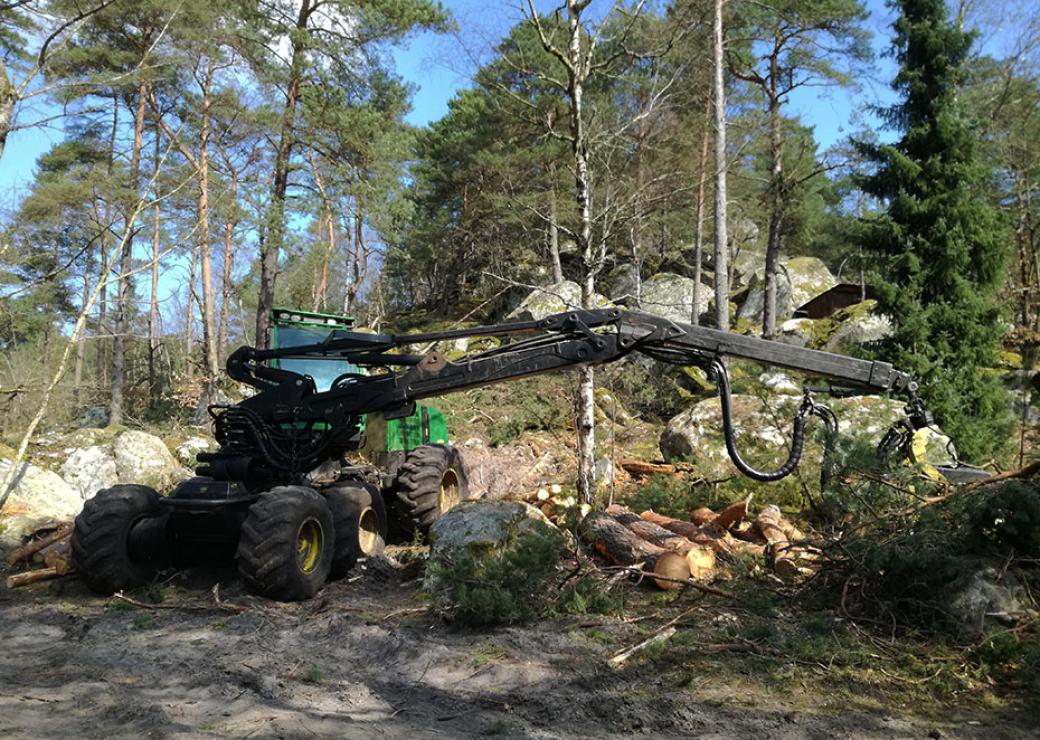 Gestion des petites parcelles forestières