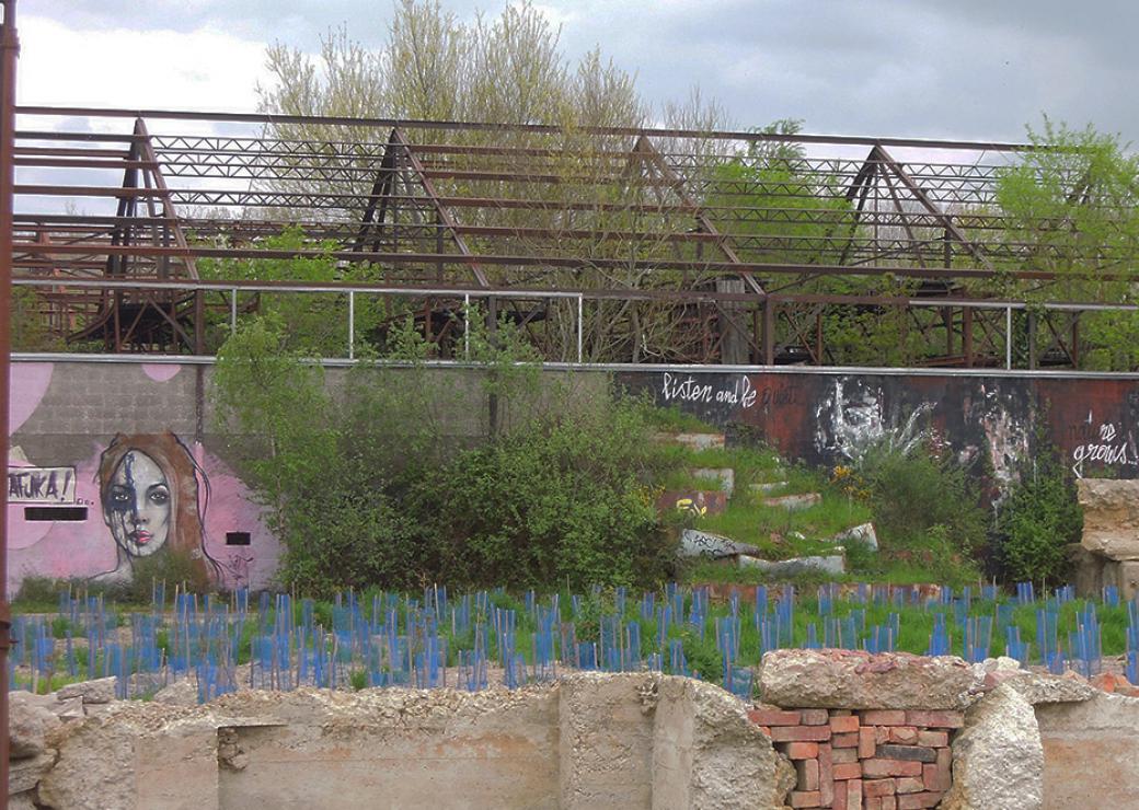 Reconquête végétale d’une friche industrielle (44)