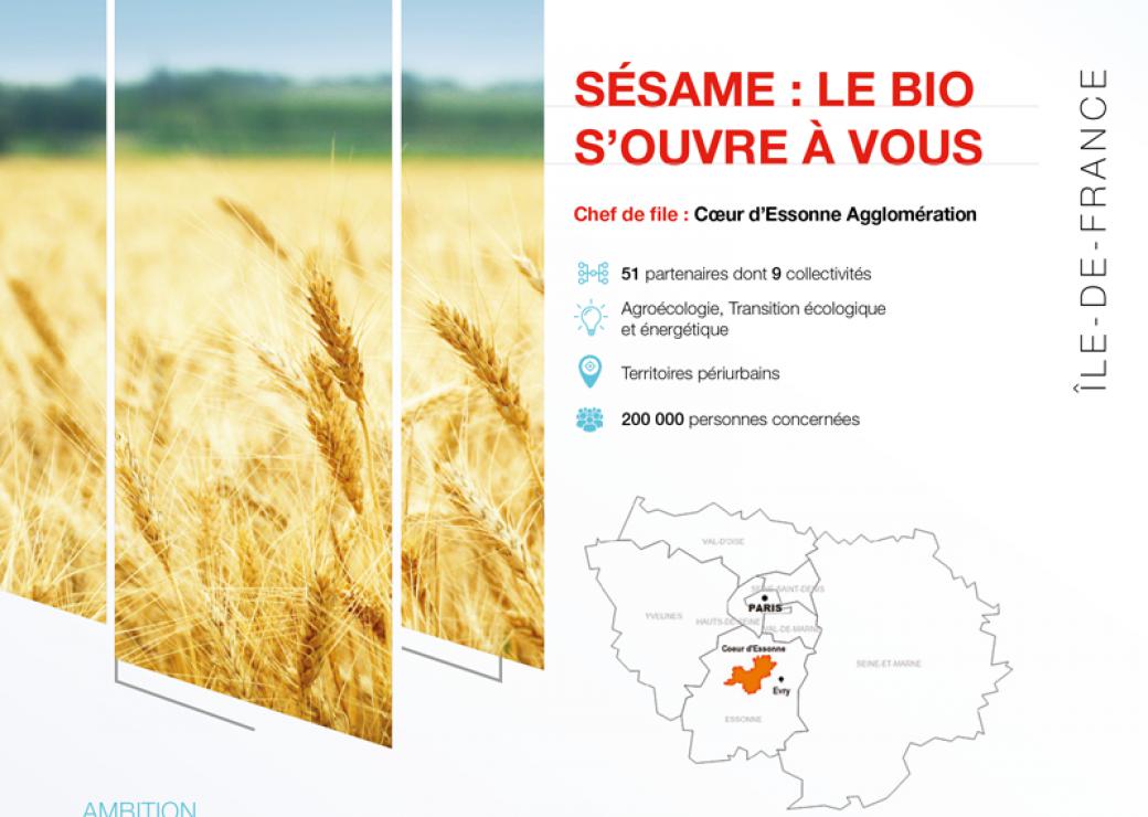 fiche-projet-sesame
