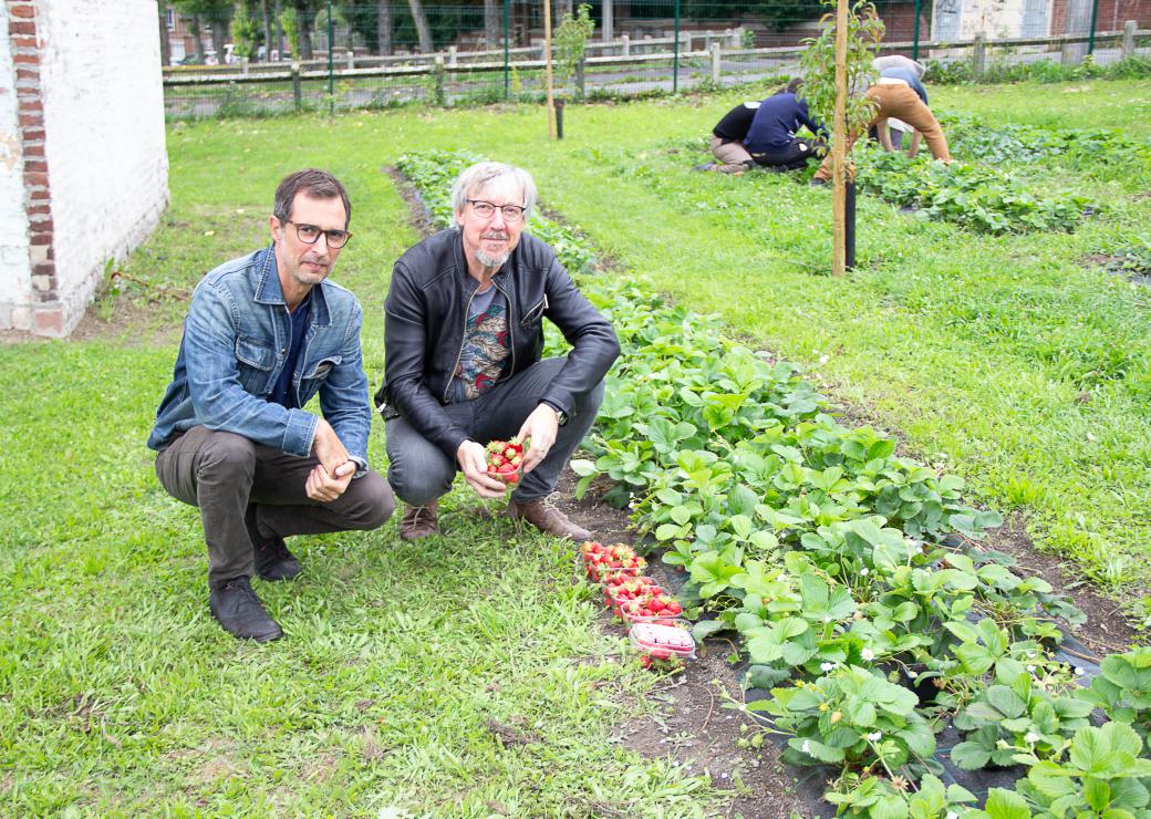 Jardin maison Cocagne