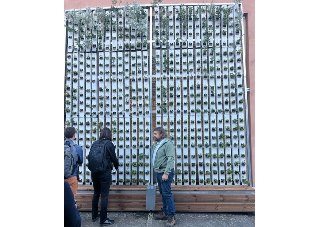 Mur végétalisé