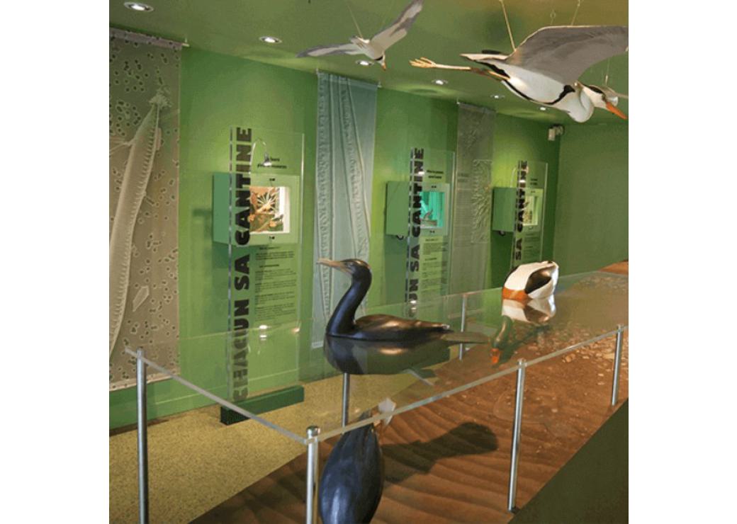 Maison de la nature et de l'estuaire