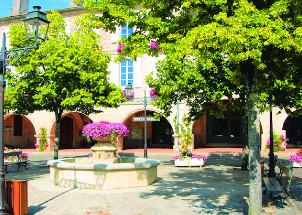 Maisons anciennes et difficiles à entretenir autour d'une jolie place du Gers