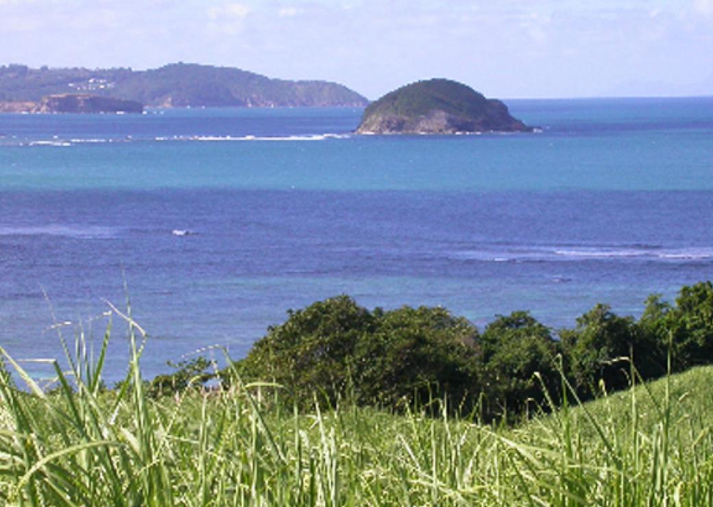 Paysage de la Martinique entre terre et mer