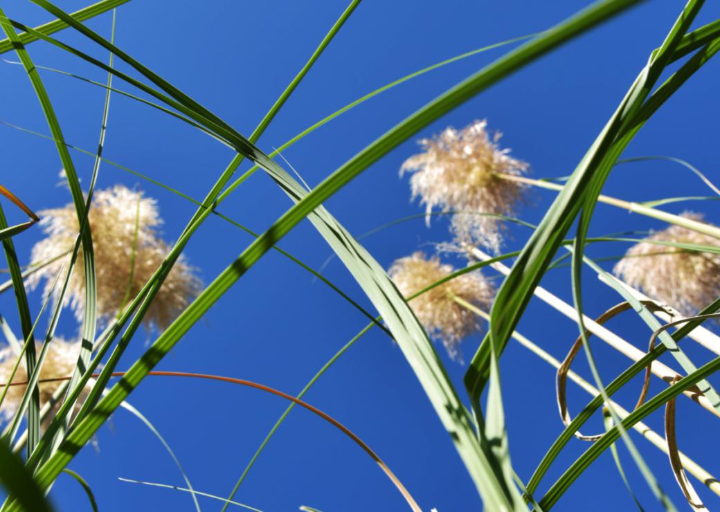 Projet environnemental de la Caisse des Dépôts