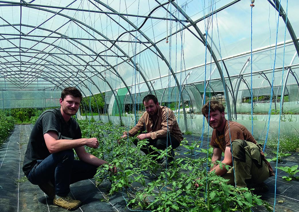 Production maraichère dans la ferme intercommunale du Chalandon