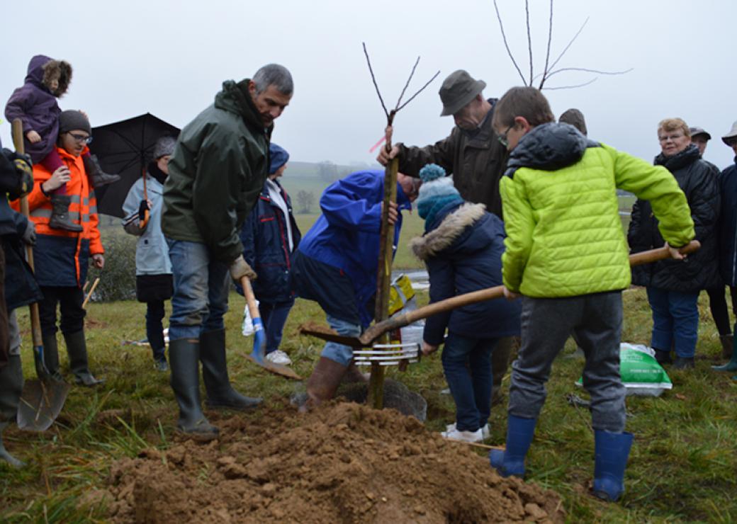 Chantier participatif pour développer la trame verte et bleue
