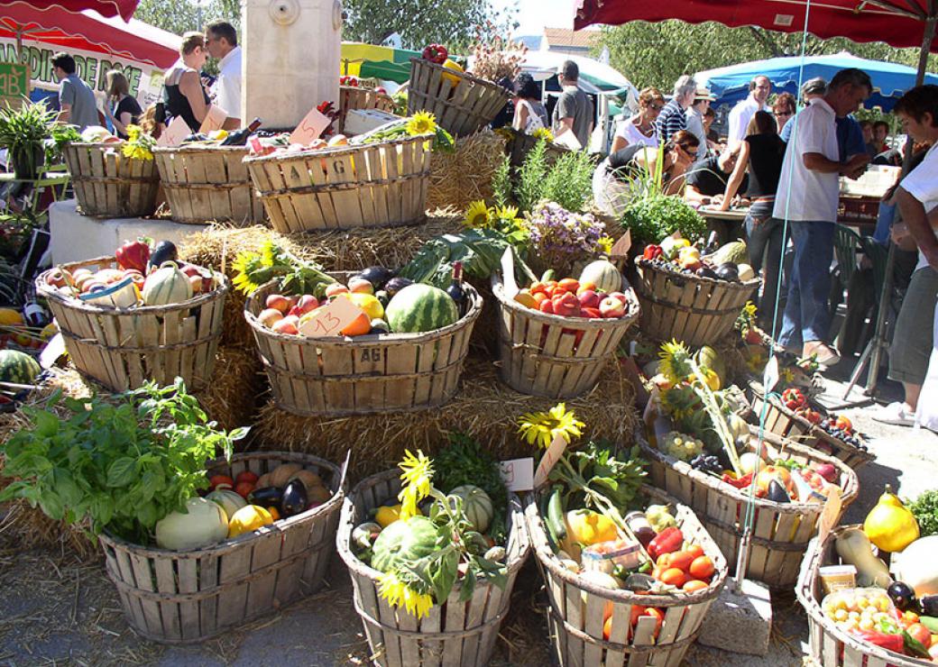 Les saveurs du Luberon inspirent le projet alimentaire territorial du PNR 