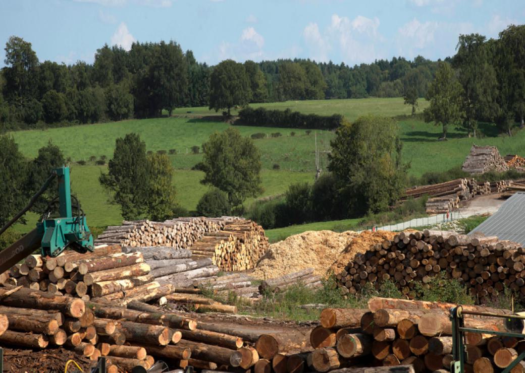 Lancement de l'Appel à manifestation d'intérêt (AMI) pour l'accompagnement de projets territoriaux au service du développement de la filière forêt-bois